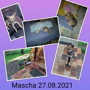 Mascha6