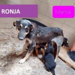 RO#Ronja#PIC01