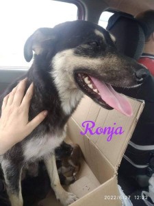 RO#Ronja#PIC02