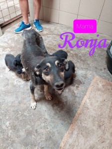 RO#Ronja#PIC03
