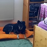 Mutti Bild